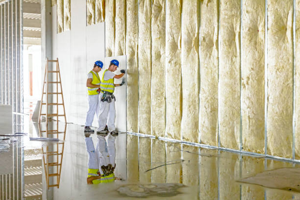 Best Insulation Inspection Services  in USA